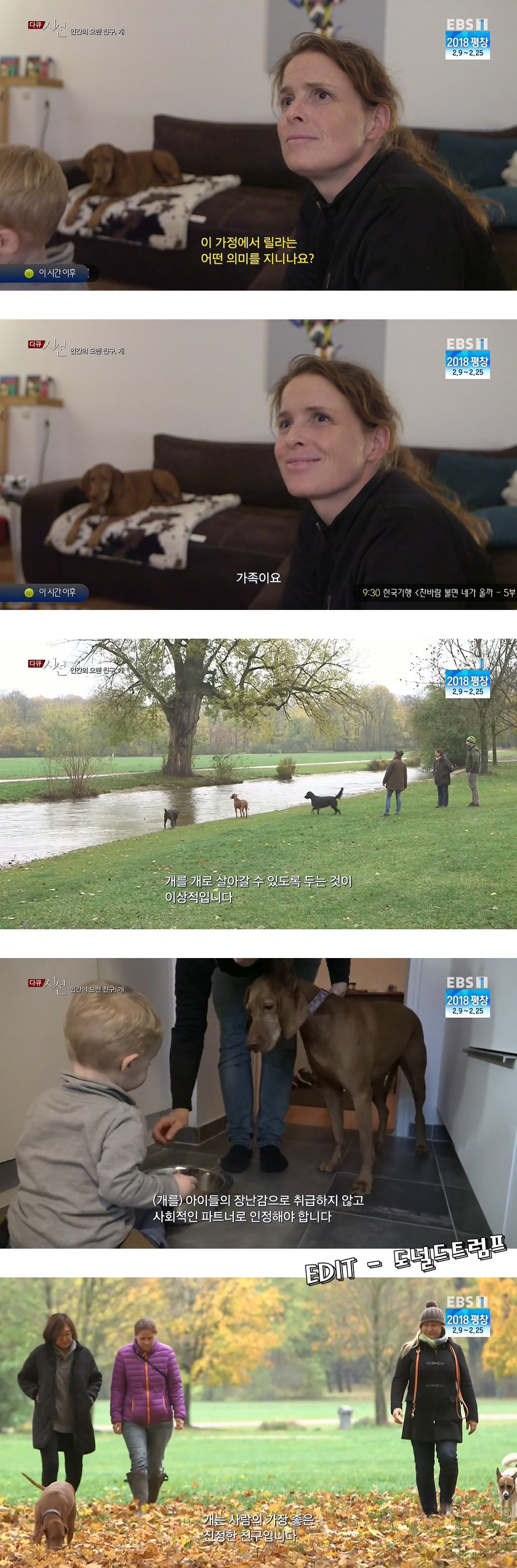 인간의 오랜 친구