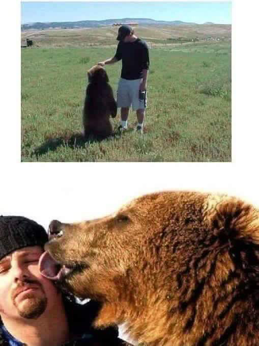 곰과 함께 자란 남자