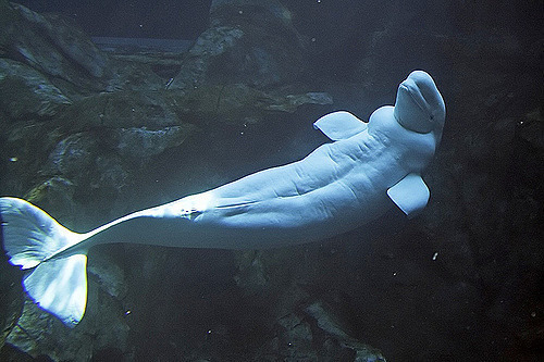 99F082425B1F0BB10CD43F