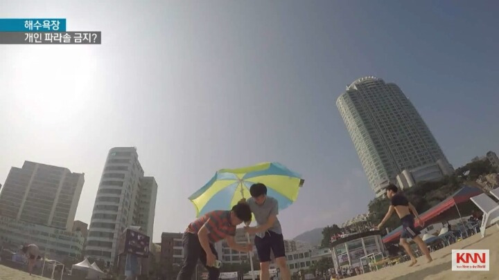 해수욕장 개인 파라솔 논란