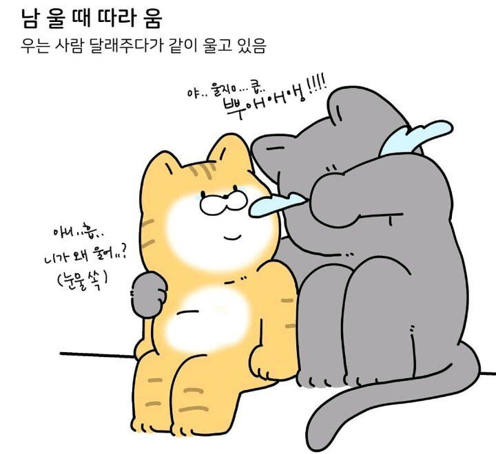  눈물 많은 사람 특징