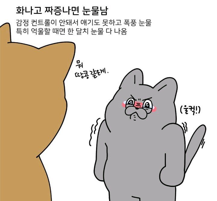  눈물 많은 사람 특징