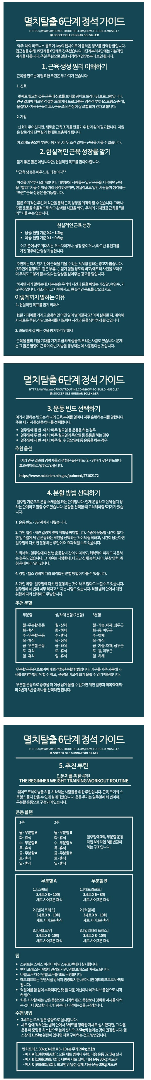 멸치탈출 6단계 정석가이드