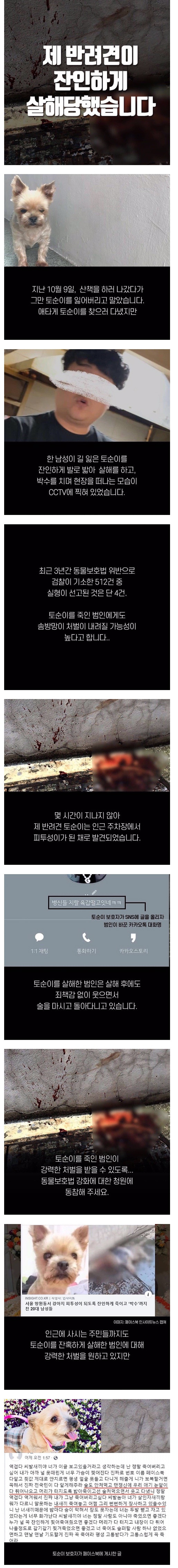  20대 남성에게 잔인하게 살해당한 강아지