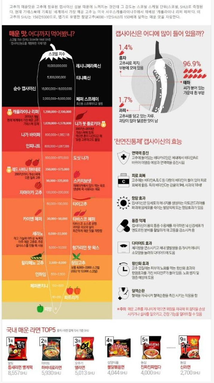  국내 매운 라면 순위