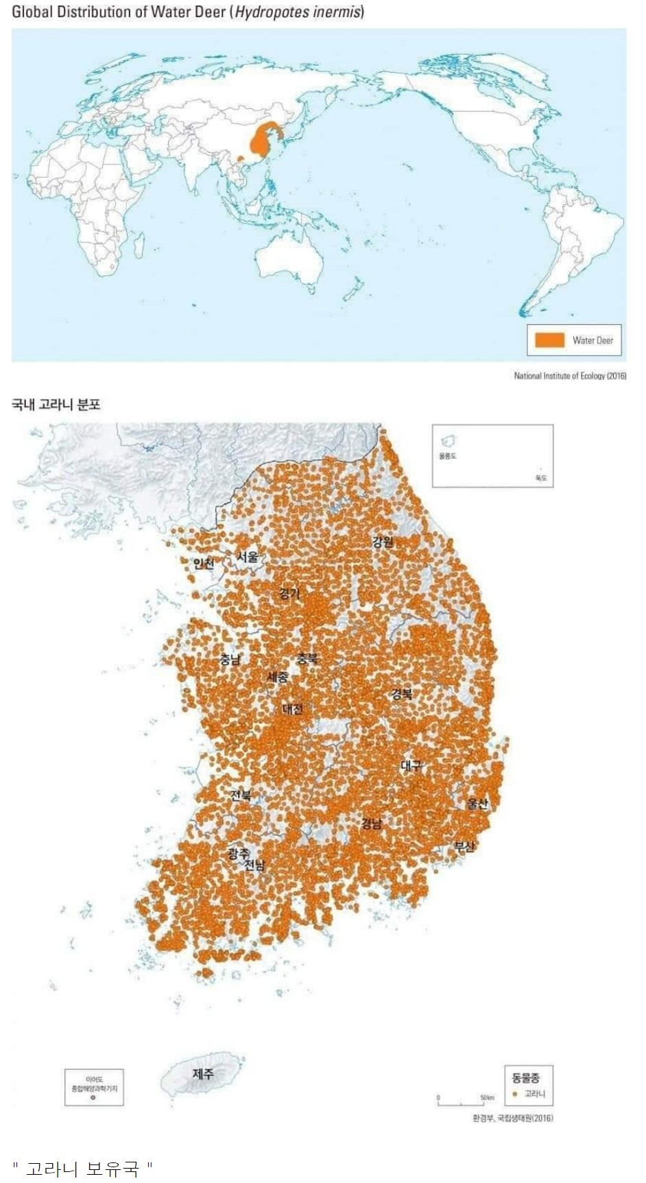  멸종위기종 고라니 분포지도