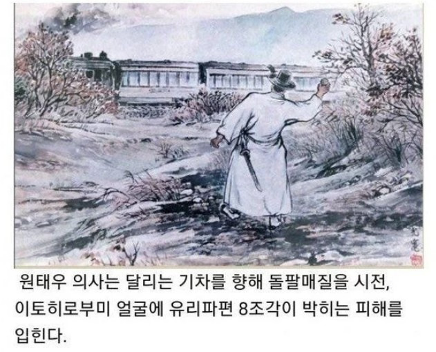  돌팔매질 고인물