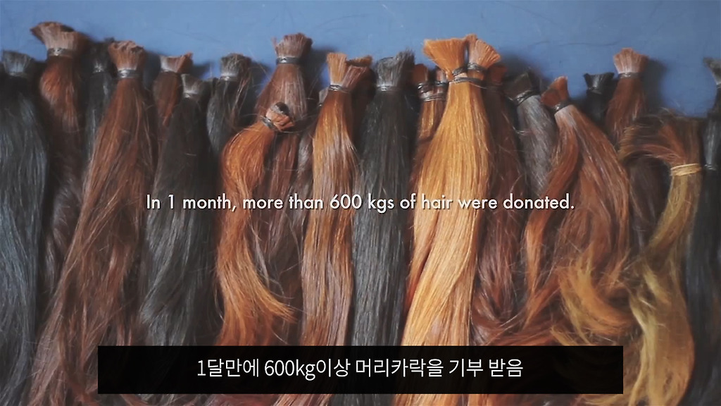 1580864518416509.jpg