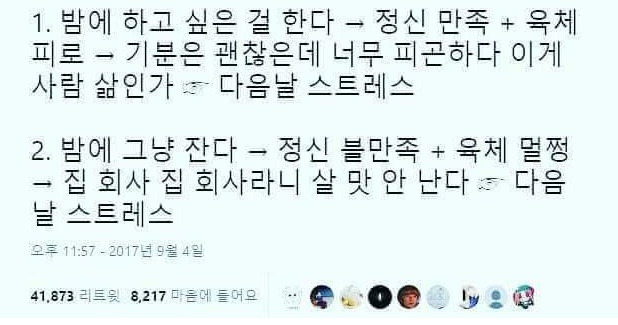  밤에 하고싶은걸 할때와 그냥 잘때의 차이