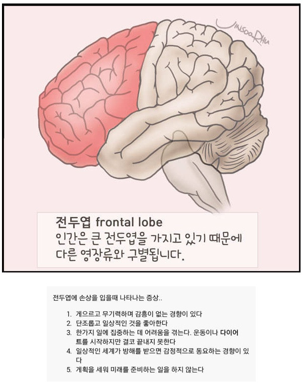  전두엽에 손상을 입었을때 나타나는 증상