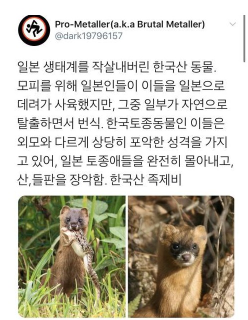  일본 생태계 작살내버린 한국산 동물
