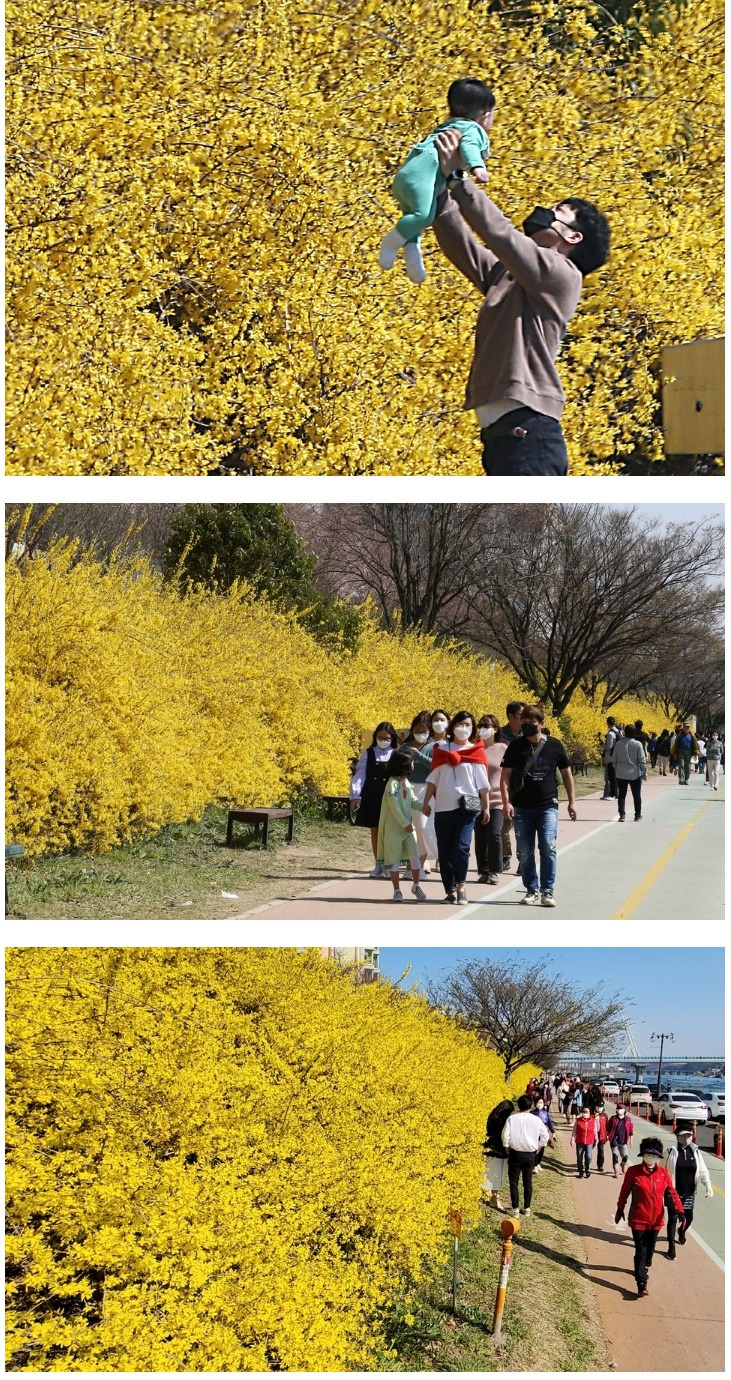  이시국 대구 시민들 근황