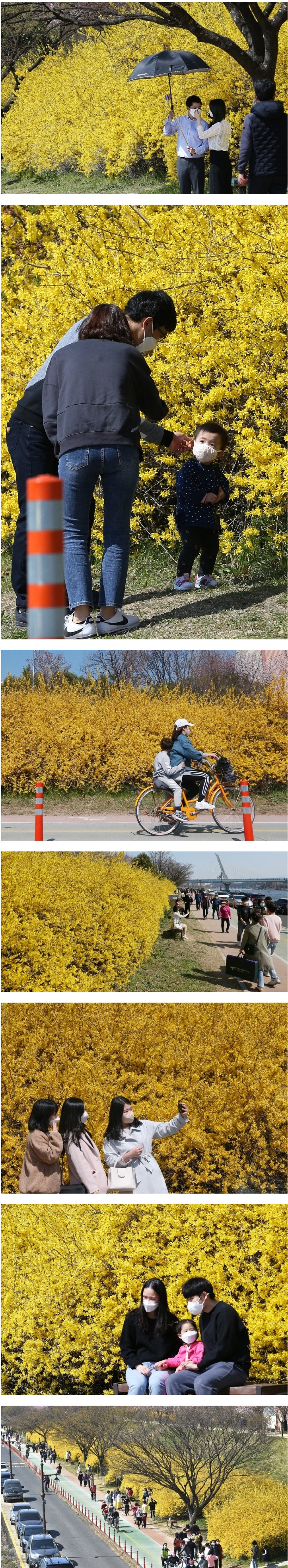  이시국 대구 시민들 근황