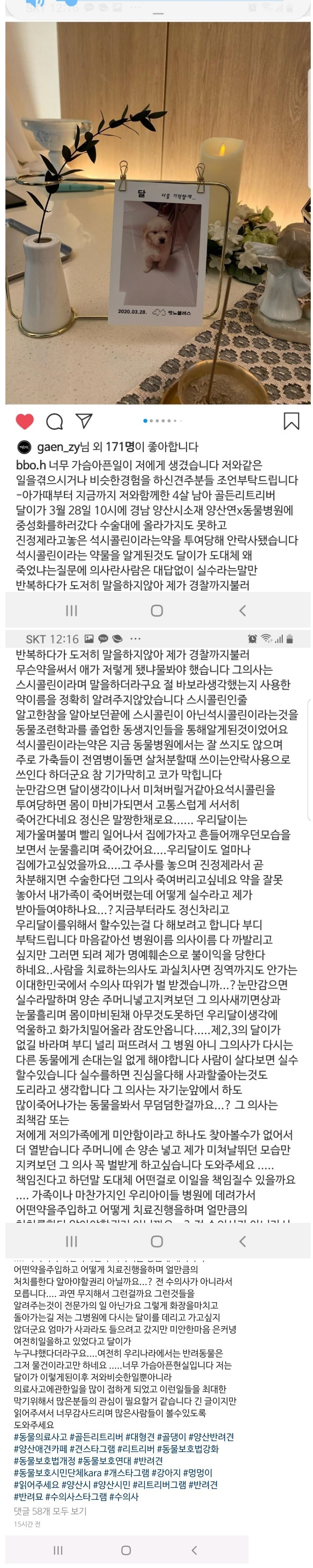  진정제 대신 안락사 약물투여한 수의사