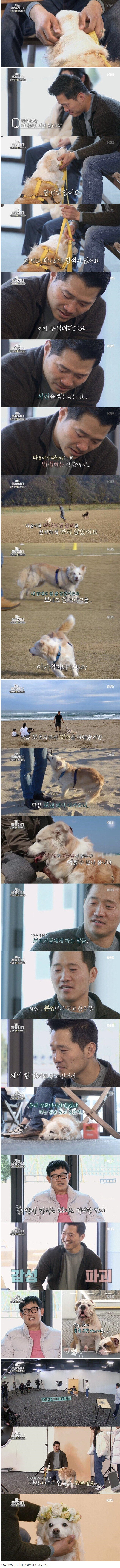 키우던 강아지와 이별을 준비하는 강형욱
