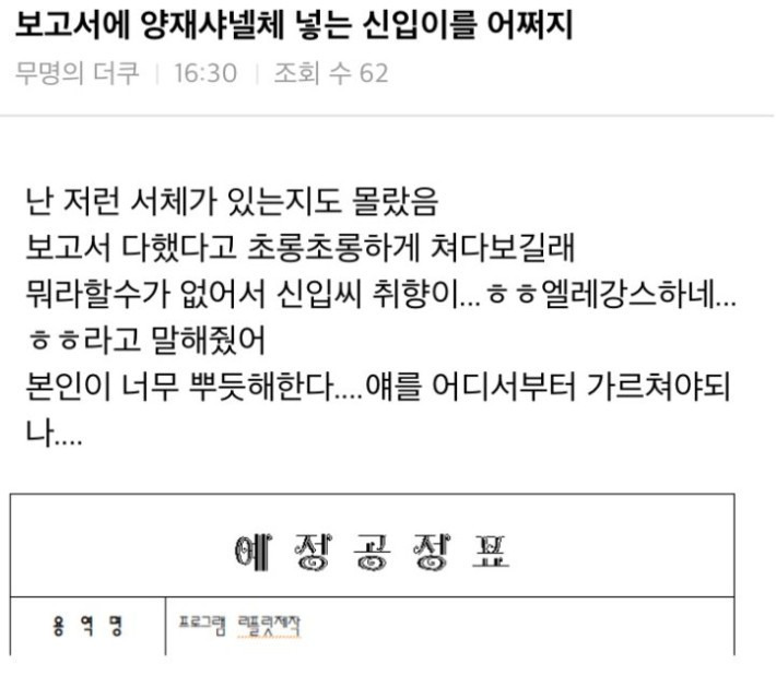  신입한테 보고서 받았는데 어쩌지...