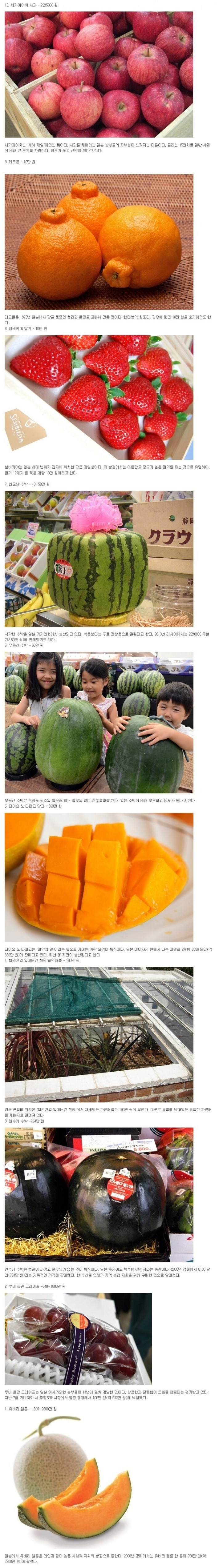 전세계에서 가장 비싼 과일