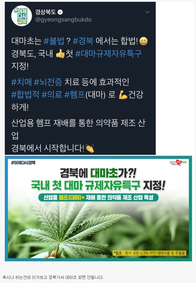 대마초가 합법인 국내 지역 3