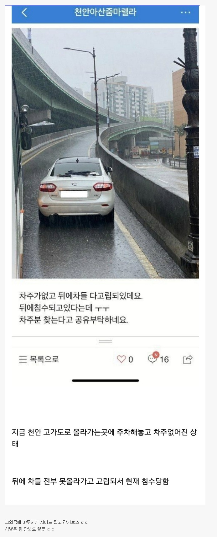  비오는날 천안 길막 레전드