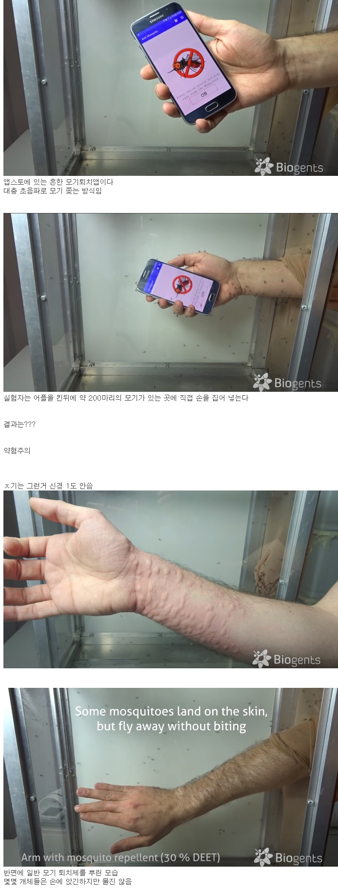 약혐) 모기 퇴치앱의 진실