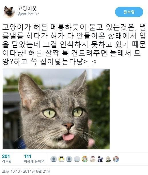 고양이가 메롱하는 이유