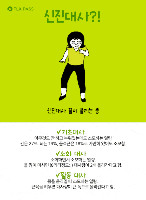 대사량 높이는 운동 5가지