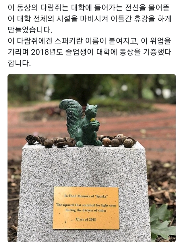 외국 대학의 다람쥐 동상