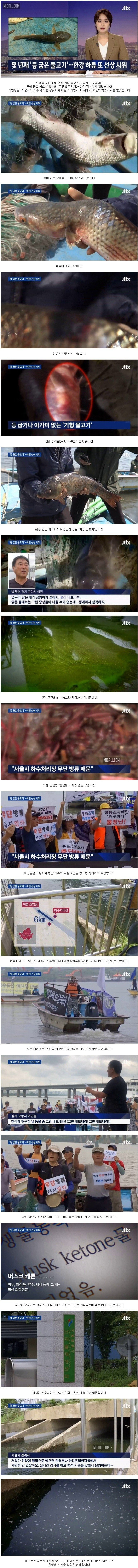 한강 하류에서 몇 년째 잡히는 기형 물고기