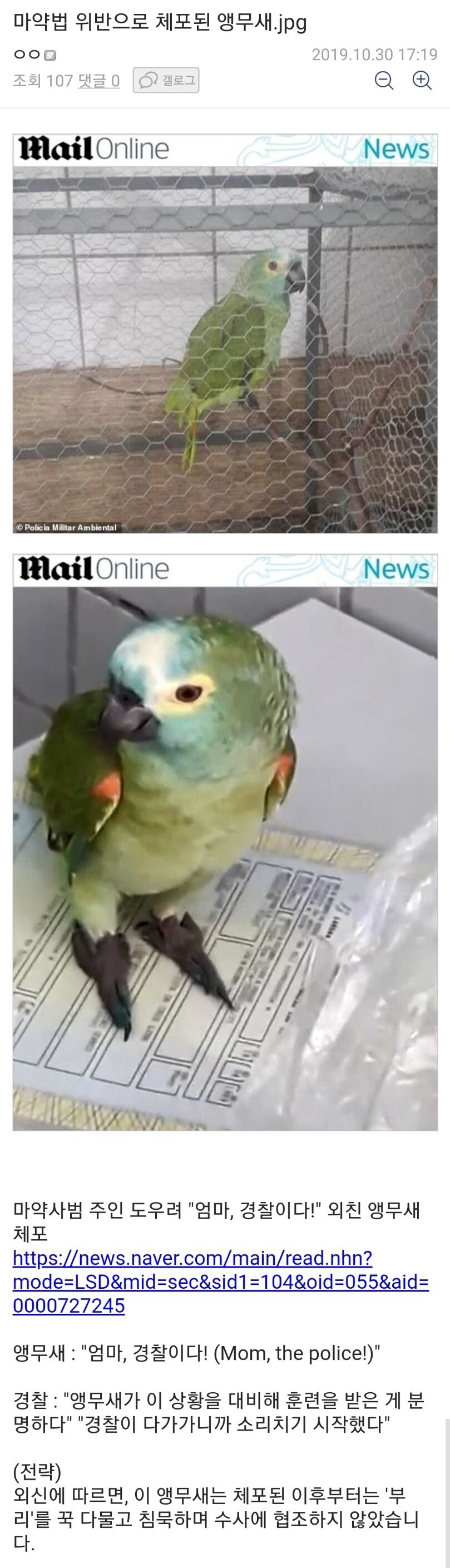 마약법 위반으로 체포된 앵무새