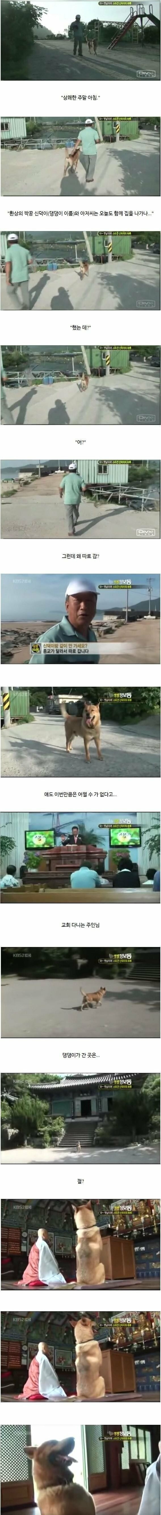 종교의 자유를 지켜주는 주인