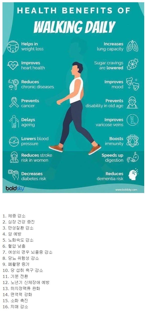 매일 걷기의 효능