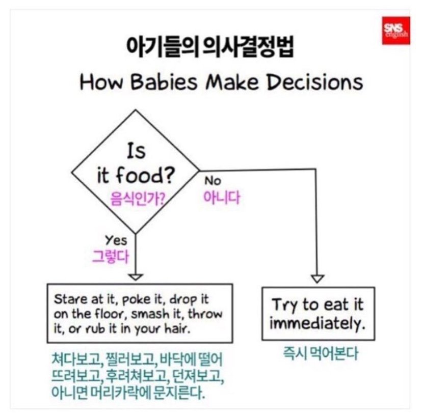  아기들의 의사결정법