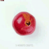 과일 채소 손질