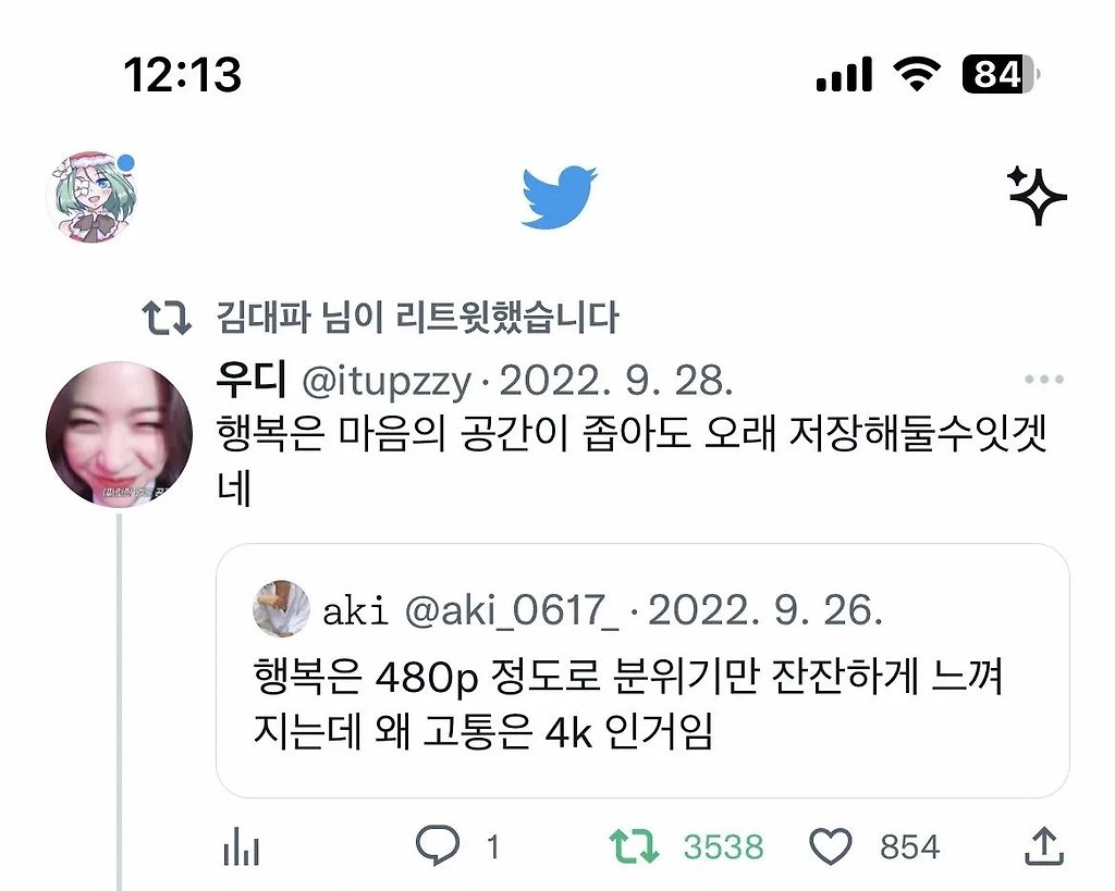 왜 행복은 480p인데 고통은 4k인 거임.jpg