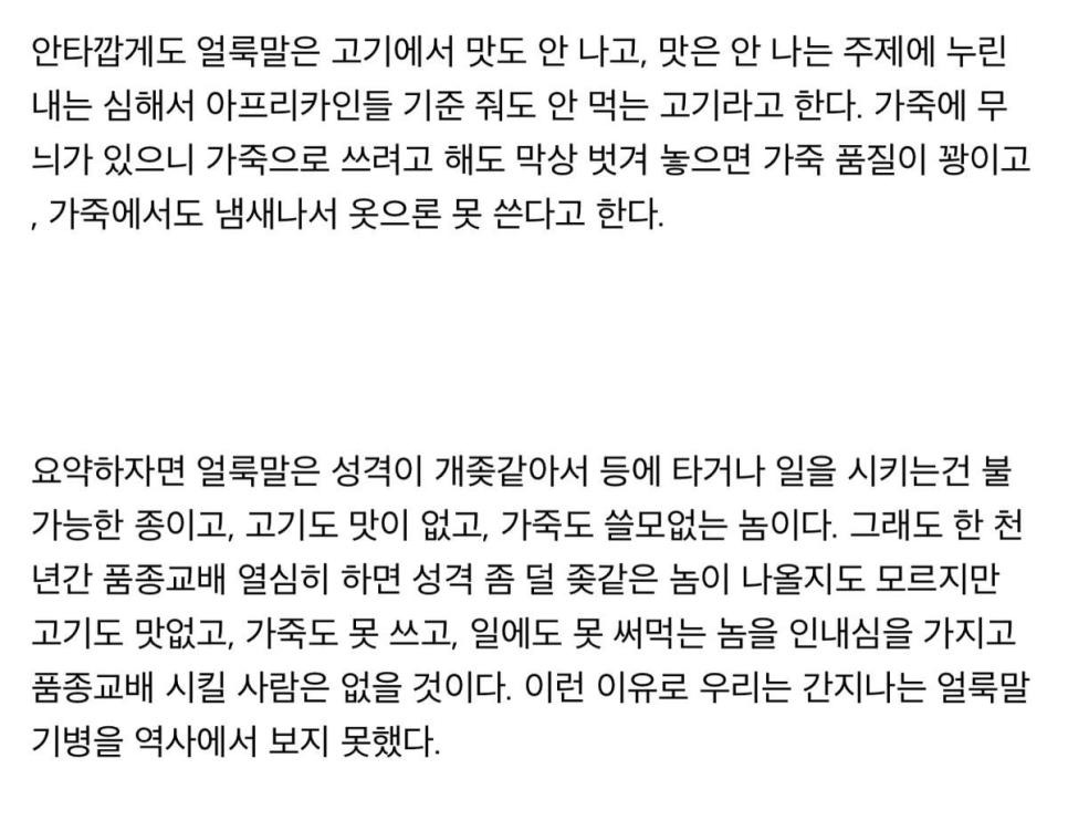 얼룩말 기마병이 존재하지 않는 이유