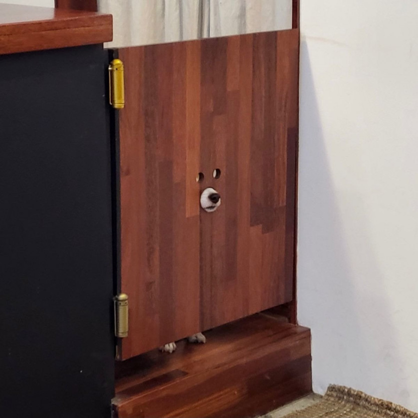 어느 카페의 파수꾼