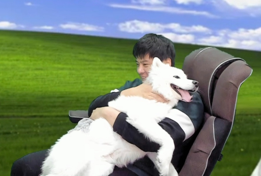 고기 앞에서 아련해지는 똘삼 반려견