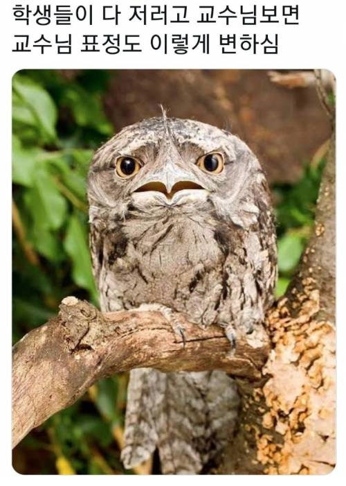 대학 전공 시험지 받았을 때 공감