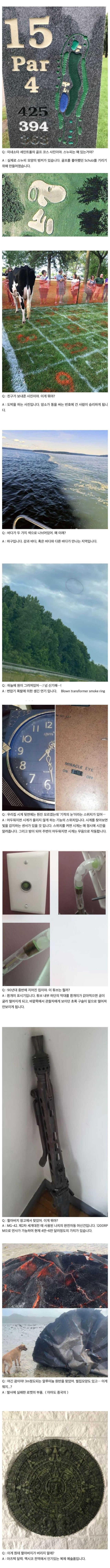 모든 질문에 답변해주는 레딧