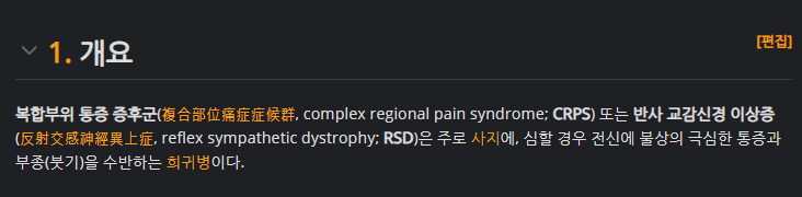 모범이 되는 여스트리머 군대 발언