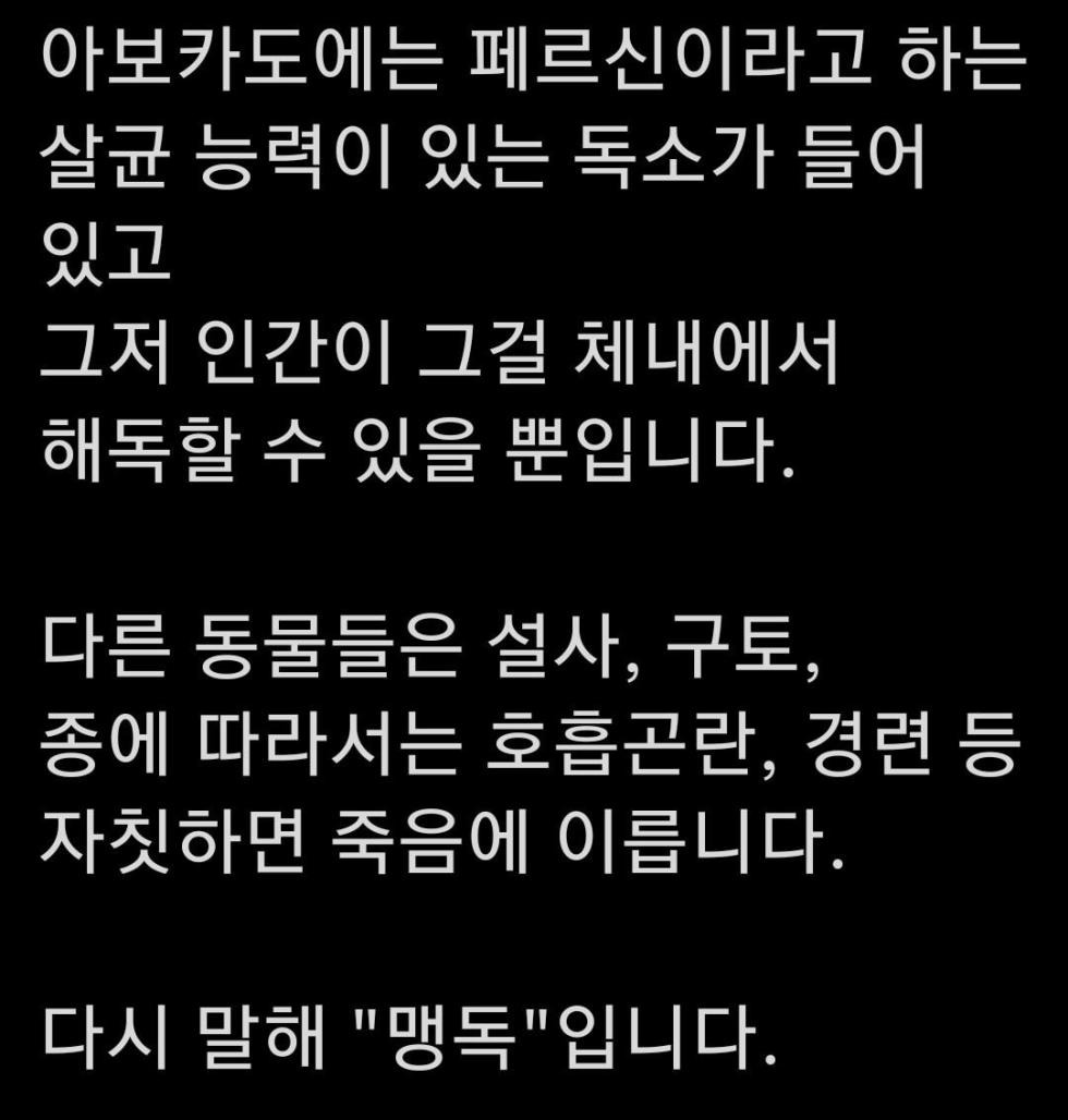 동물들이 아보카도를 먹어 본 결과