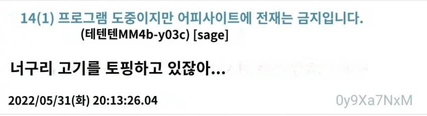 한국인의 라면 선택에 당황한 외국인