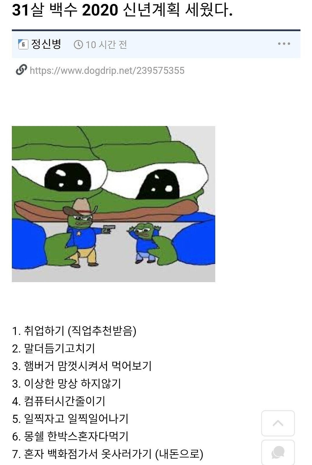 31살 백수의 2020 신년계획