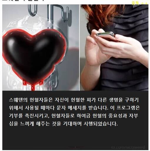  도입되면 좋을 헌혈제도