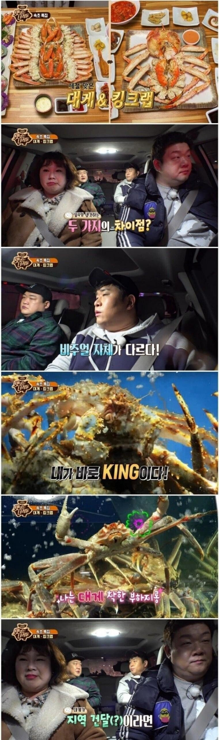 대게와 킹크랩의 차이