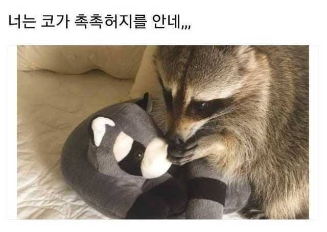  동료의 건강이 걱정됨