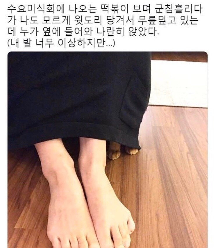  누가 내 품에 들어왔다