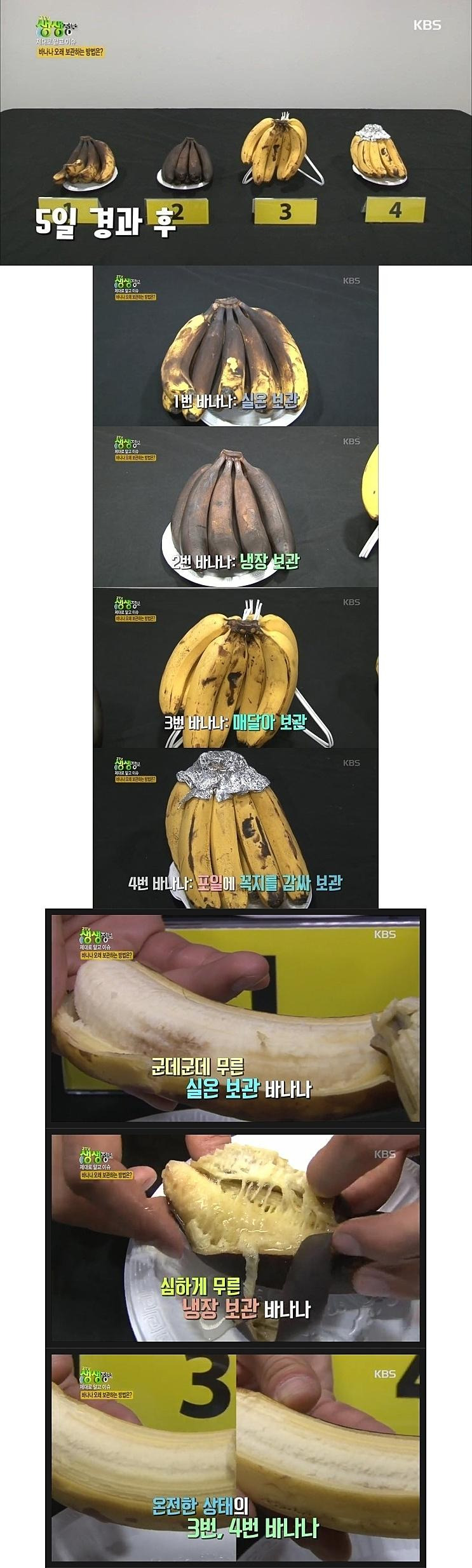 바나나 보관방법에 따른 변화 비교