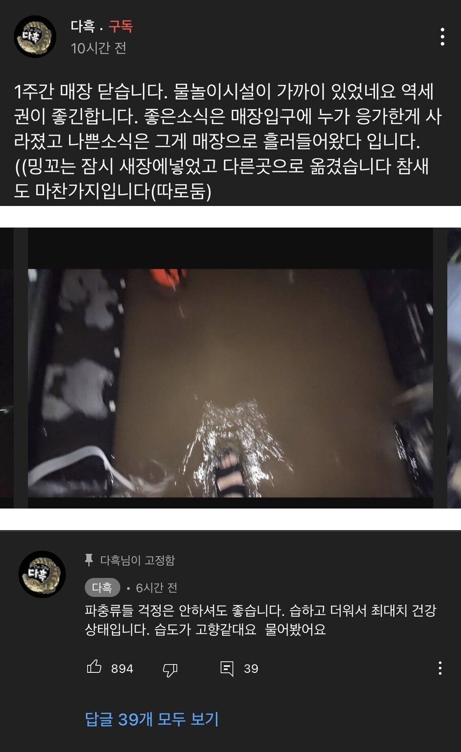 폭우로 문 닫는 파충류 유튜버 특징