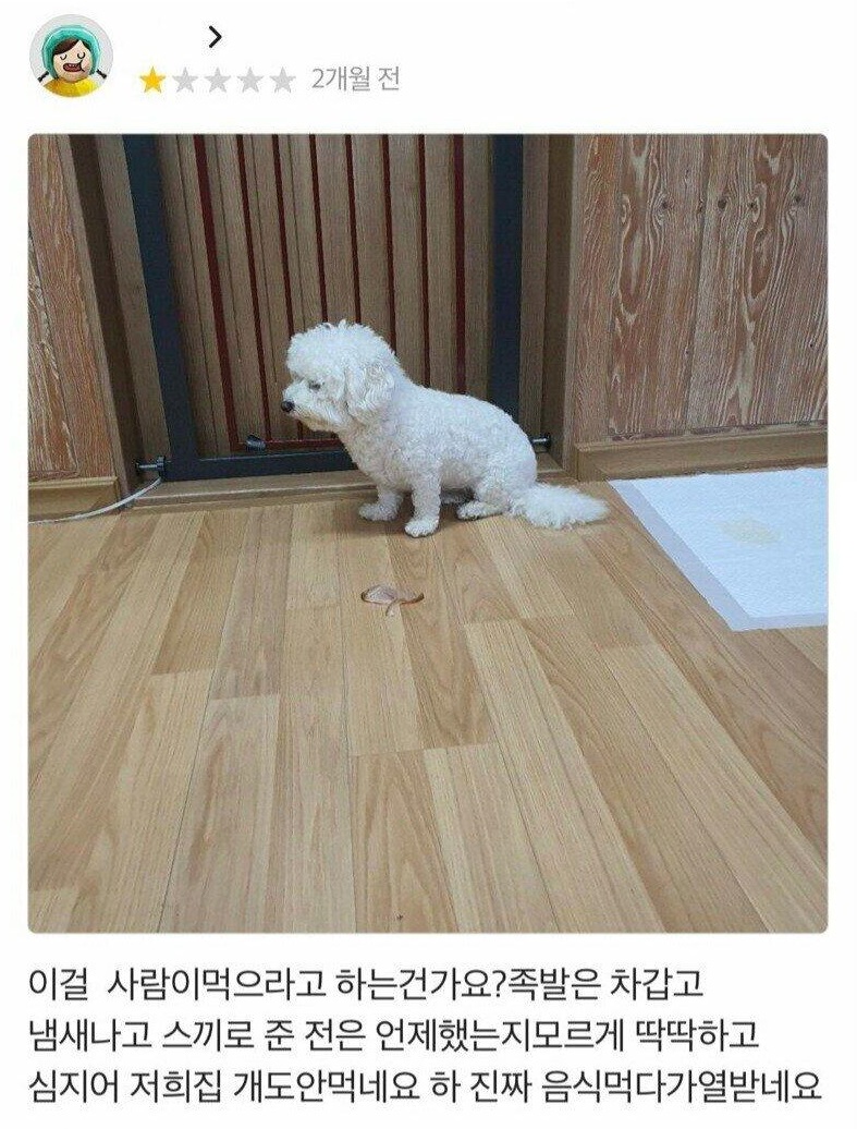 개도 안 먹는 배민 족발 리뷰